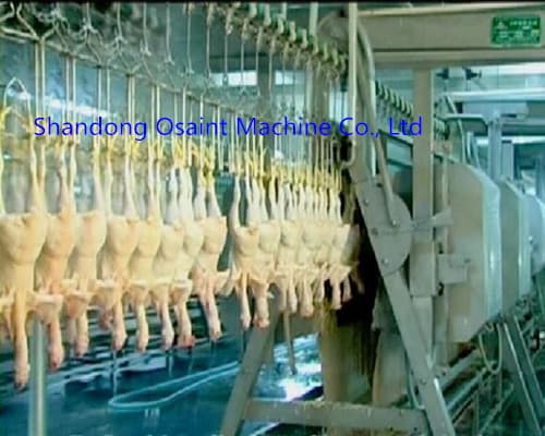 New style good performance chicken slaughtering house